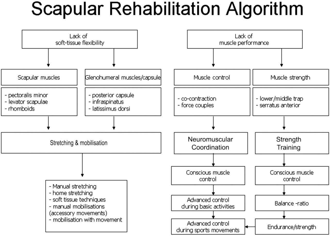 Cools et al (2013) Shoulder Rehabilitation Algorithm